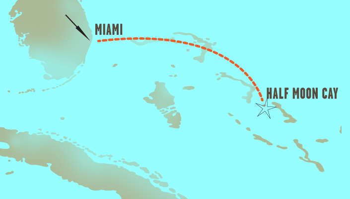 311 Caribbean Cruise
